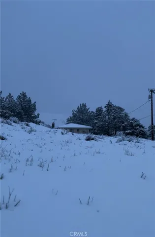 a view of a dry yard with trees in the background