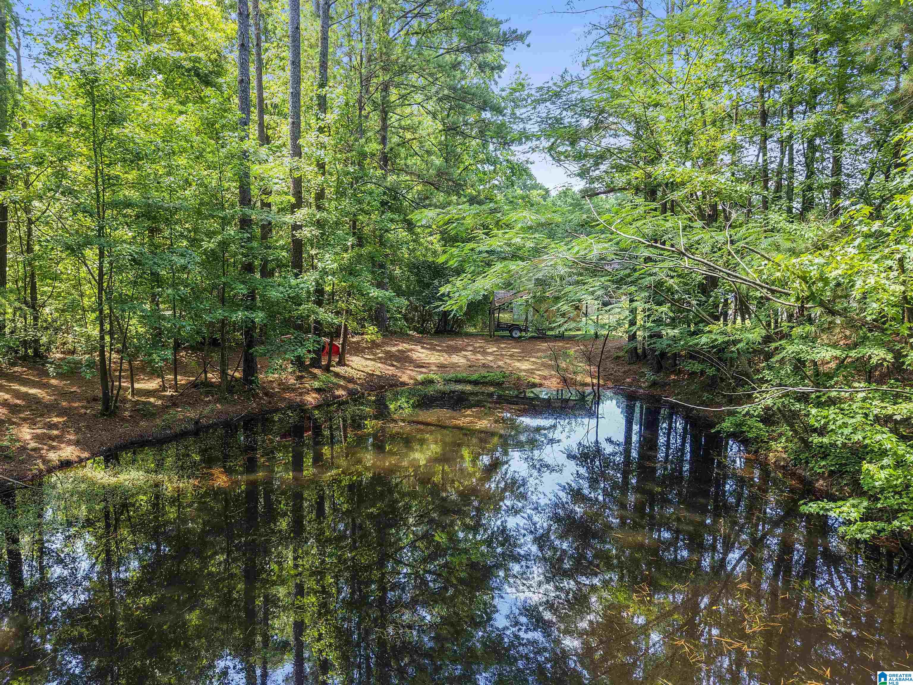 9483 Dads Hill Road Warrior, AL 35180 - Photo 29 of 37