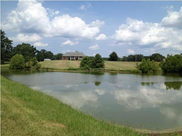 1785 Potato House Road Edwards, MS 39066 - Photo 11 of 35 Pond