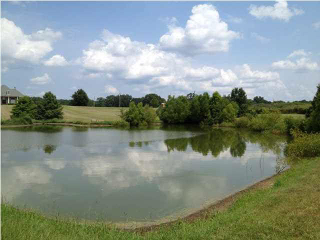 1785 Potato House Road Edwards, MS 39066 - Photo 12 of 35 Pond