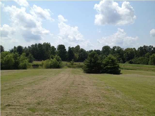 1785 Potato House Road Edwards, MS 39066 - Photo 3 of 35 Additional View
