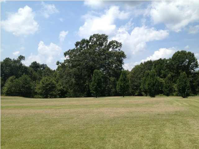 1785 Potato House Road Edwards, MS 39066 - Photo 5 of 35 Additional View