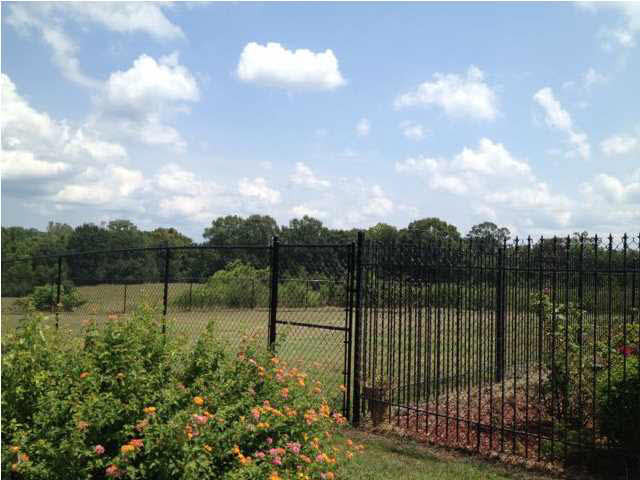 1785 Potato House Road Edwards, MS 39066 - Photo 7 of 35 Fenced Back Yard