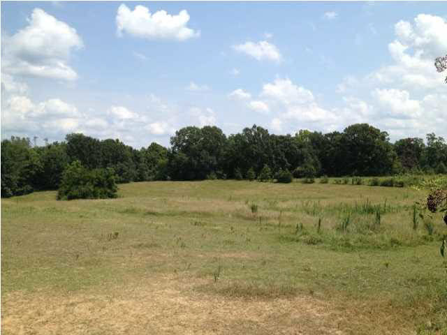 1785 Potato House Road Edwards, MS 39066 - Photo 9 of 35 Additional View