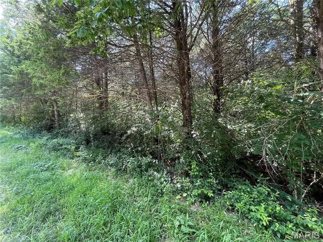 $7,500 | 0 Red Bud Drive, Catawissa, MO 63015