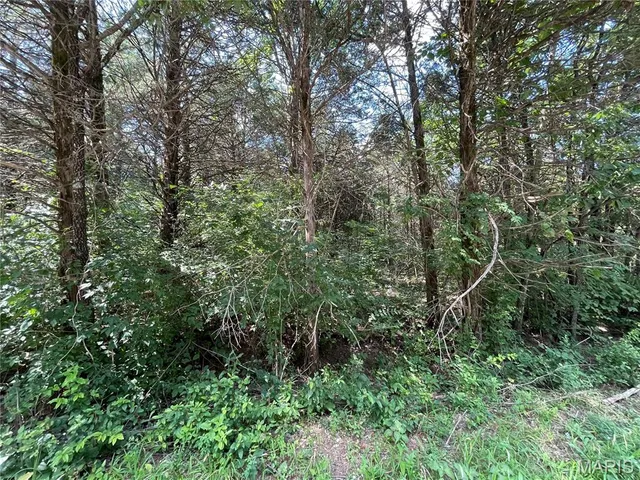 $7,500 | 0 Red Bud Drive, Catawissa, MO 63015