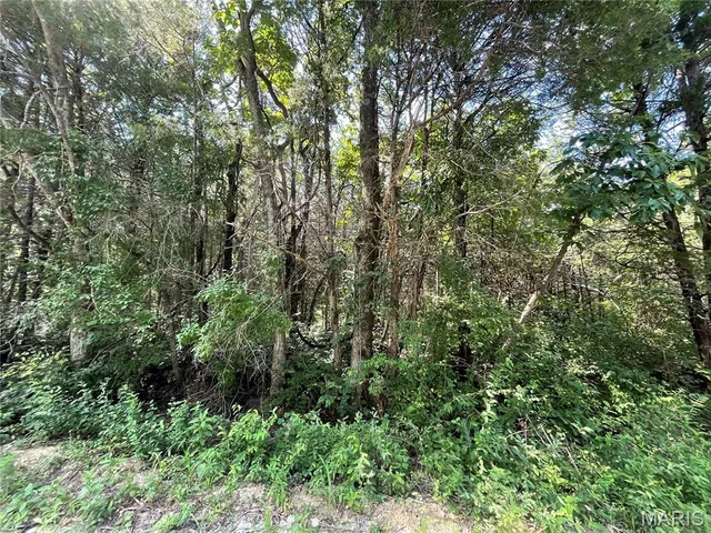 $7,500 | 0 Red Bud Drive, Catawissa, MO 63015