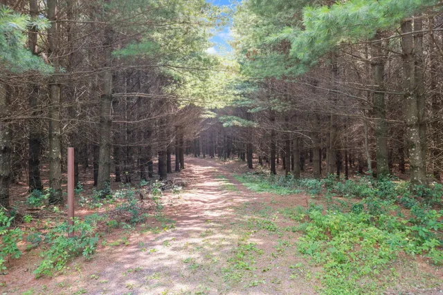 $1,350,000 | 26366 Xylite Street Northeast, Isanti, MN 55040