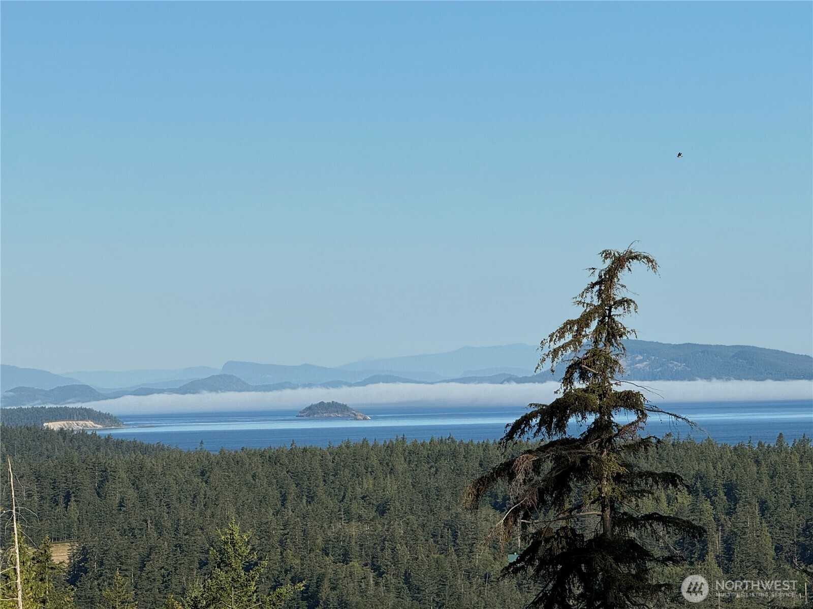 463 Wright Road Orcas Island, WA 98245 - Photo 2 of 40