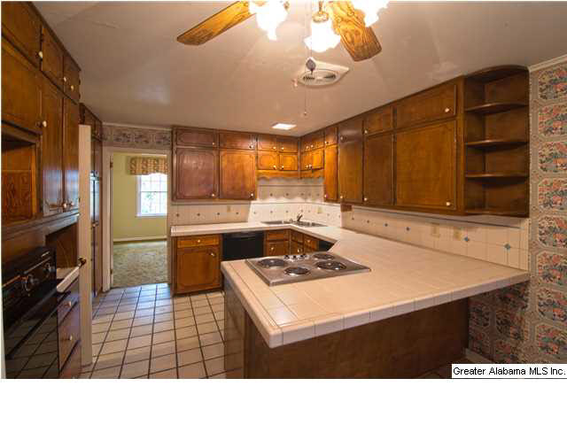 1633 Carson Road Birmingham, AL 35215 - Photo 7 of 32