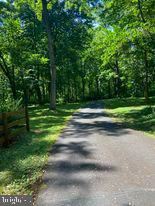 7575 Moormont Road Rapidan, VA 22733 - Photo 12 of 59 a backyard of a house with lots of green space