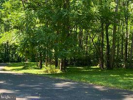 7575 Moormont Road Rapidan, VA 22733 - Photo 15 of 59 a view of a park with large trees