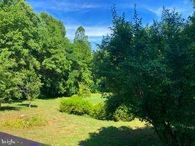 7575 Moormont Road Rapidan, VA 22733 - Photo 16 of 59 a view of a garden
