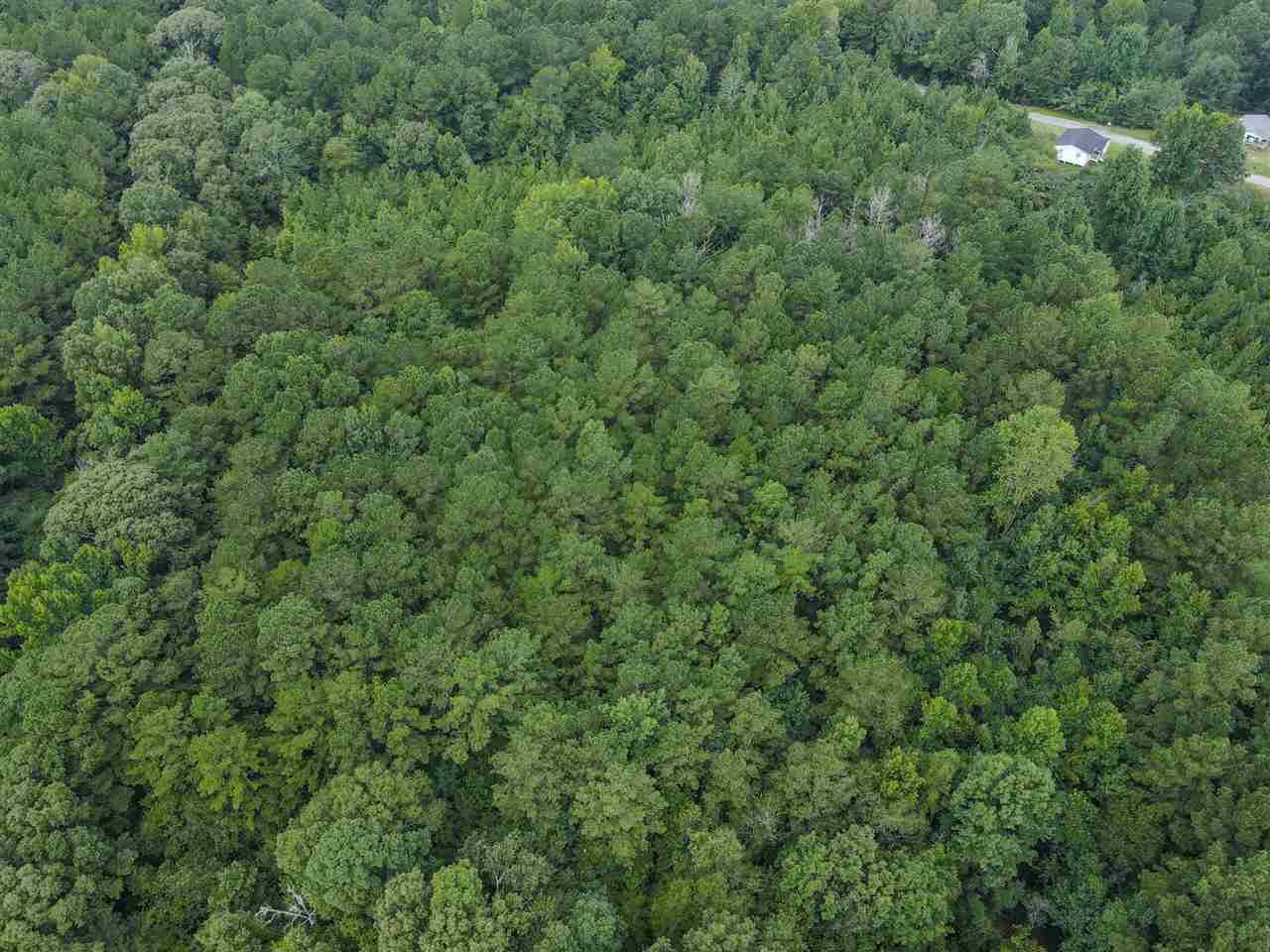 0 Norwood Road Florence, MS 39073 - Photo 12 of 13 Photo 12