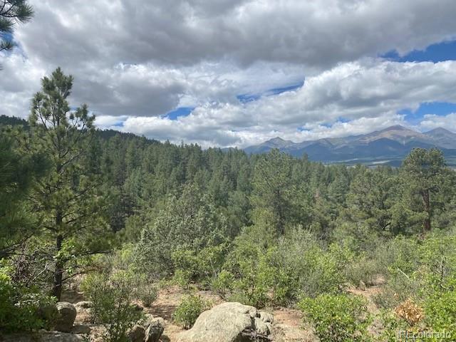 Wild Turkey Road Westcliffe, CO 81252 - Photo 4 of 36 Gallery Image 4