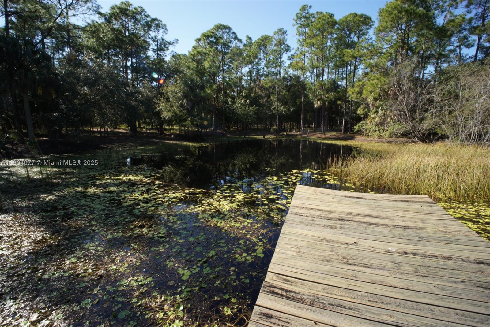 2184 9 Mile Road LaBelle, FL 33935 - Photo 21 of 41