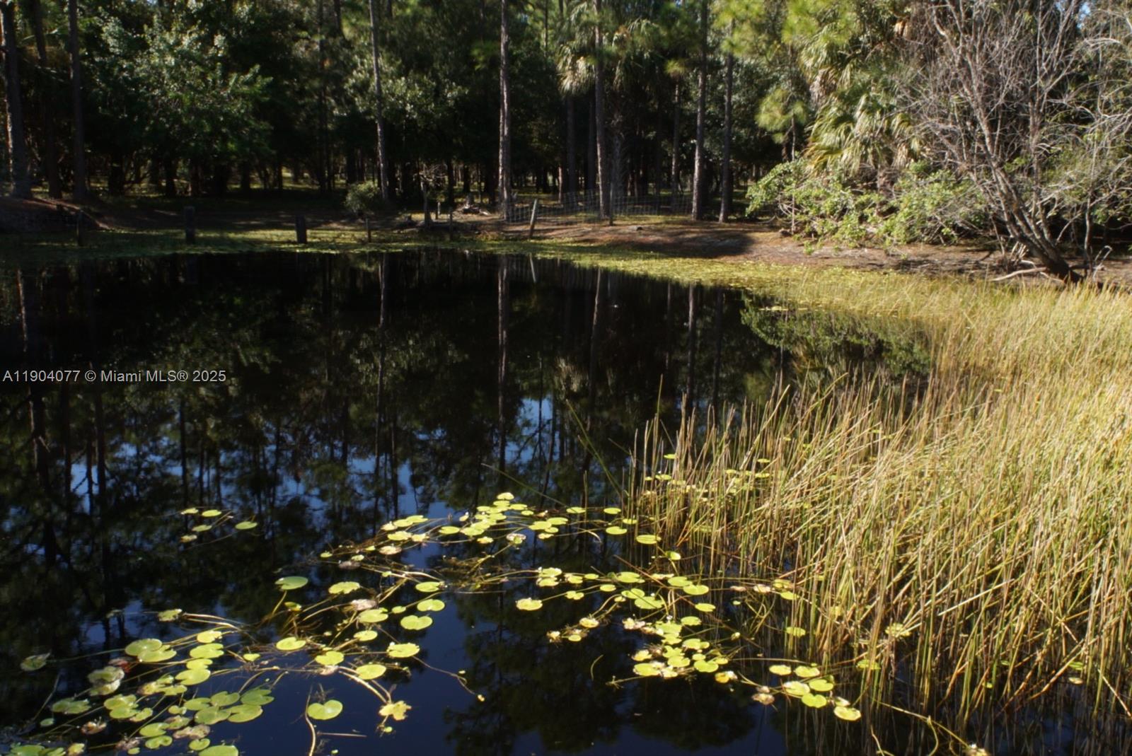 2184 9 Mile Road LaBelle, FL 33935 - Photo 22 of 41 a view of outdoor space with sitting area