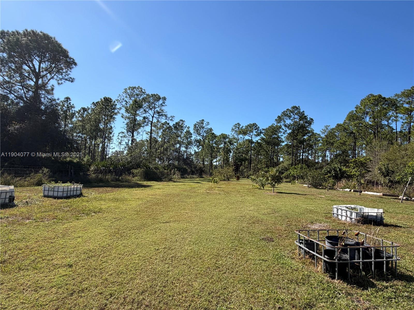 2184 9 Mile Road LaBelle, FL 33935 - Photo 35 of 41 a view of a lake with a yard