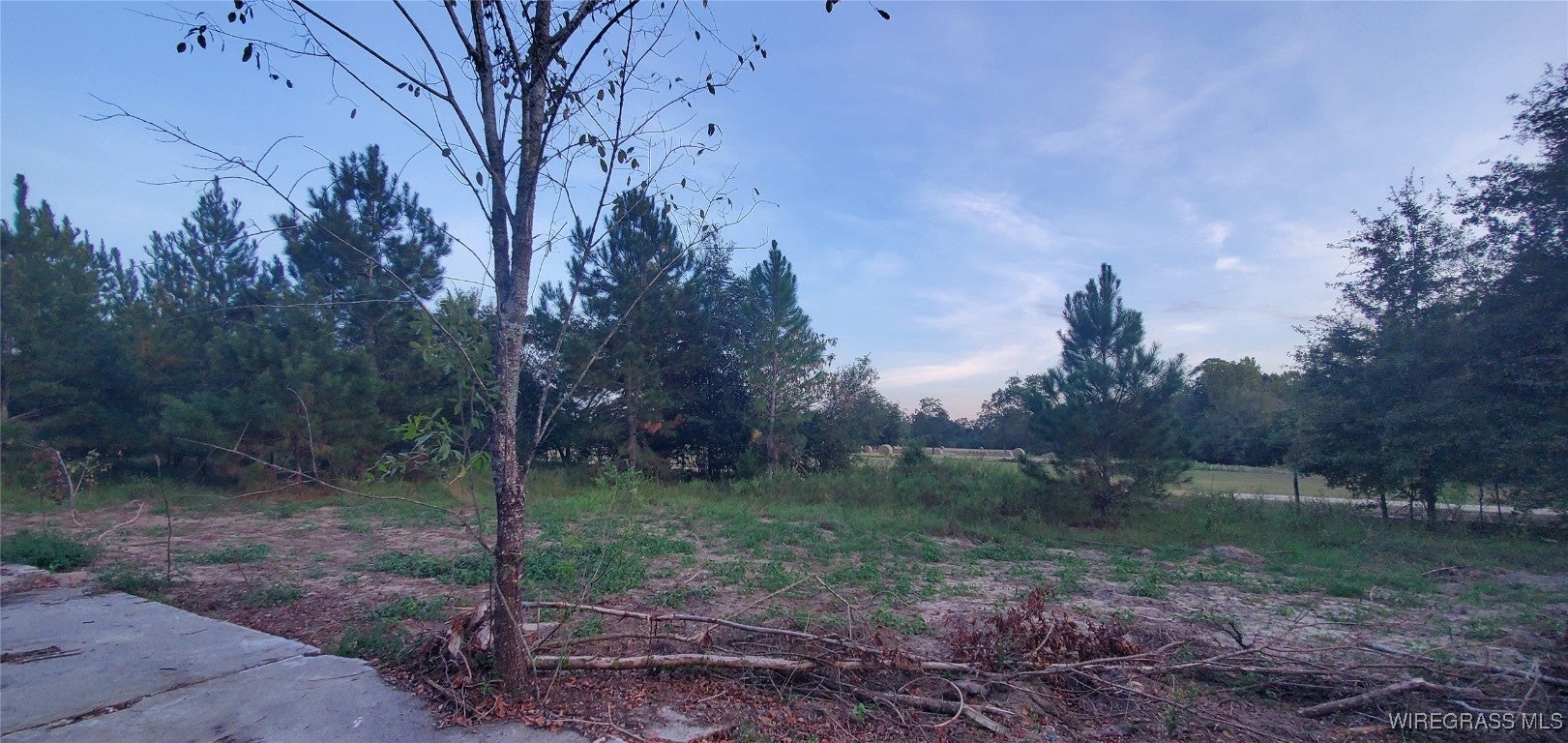 725 Dock Wilson Road Samson, AL 36477 - Photo 6 of 12 Gallery Image 6