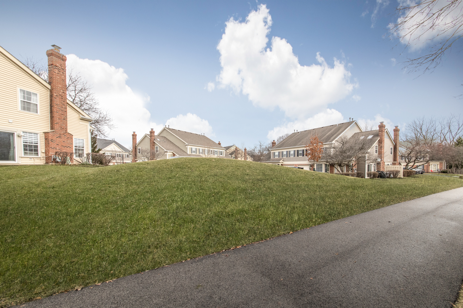 204 Cold Spring Palatine, IL 60067 - Photo 21 of 30