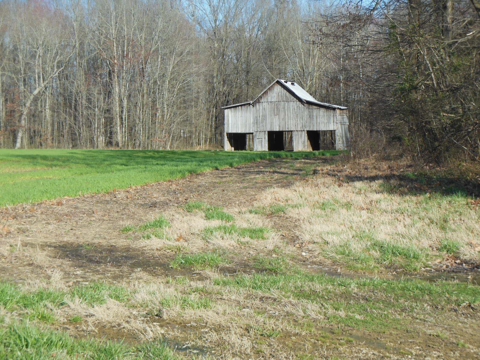 5025 Boyd Holland Road Springfield, TN 37172 - Photo 3 of 30 a front view of a house with a yard
