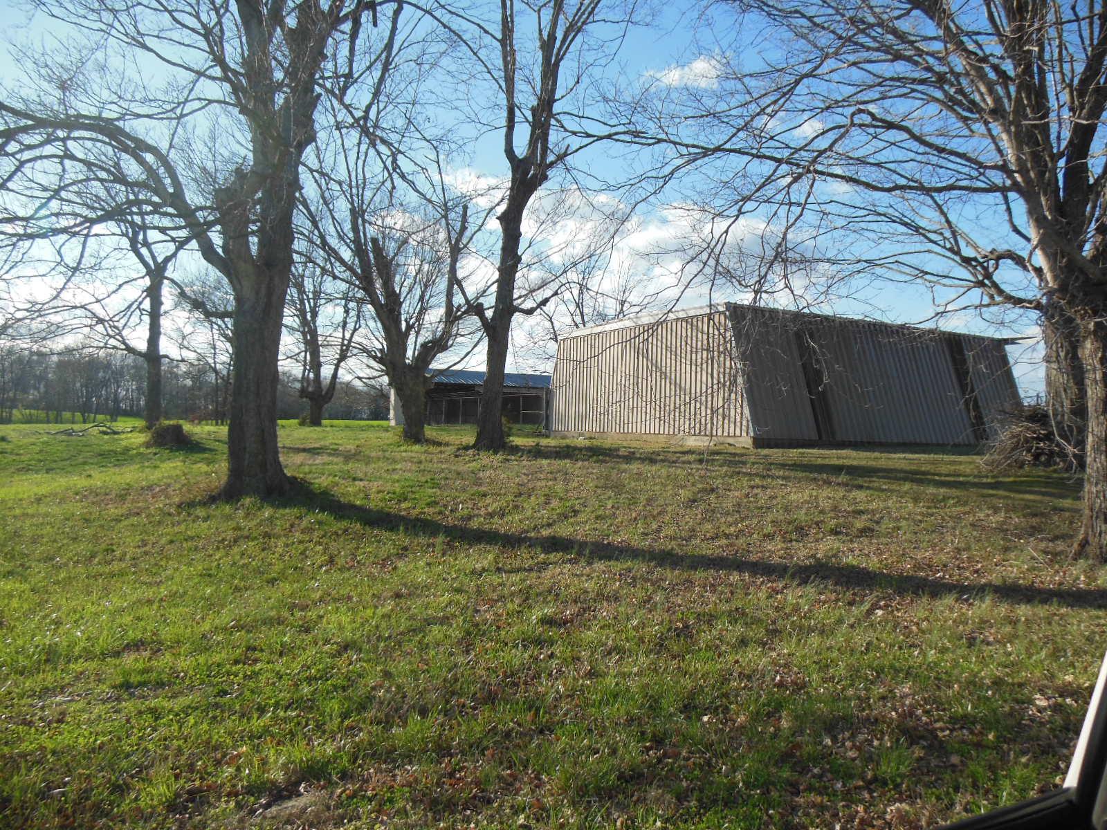 5025 Boyd Holland Road Springfield, TN 37172 - Photo 21 of 30 a view of pool with tree in the background