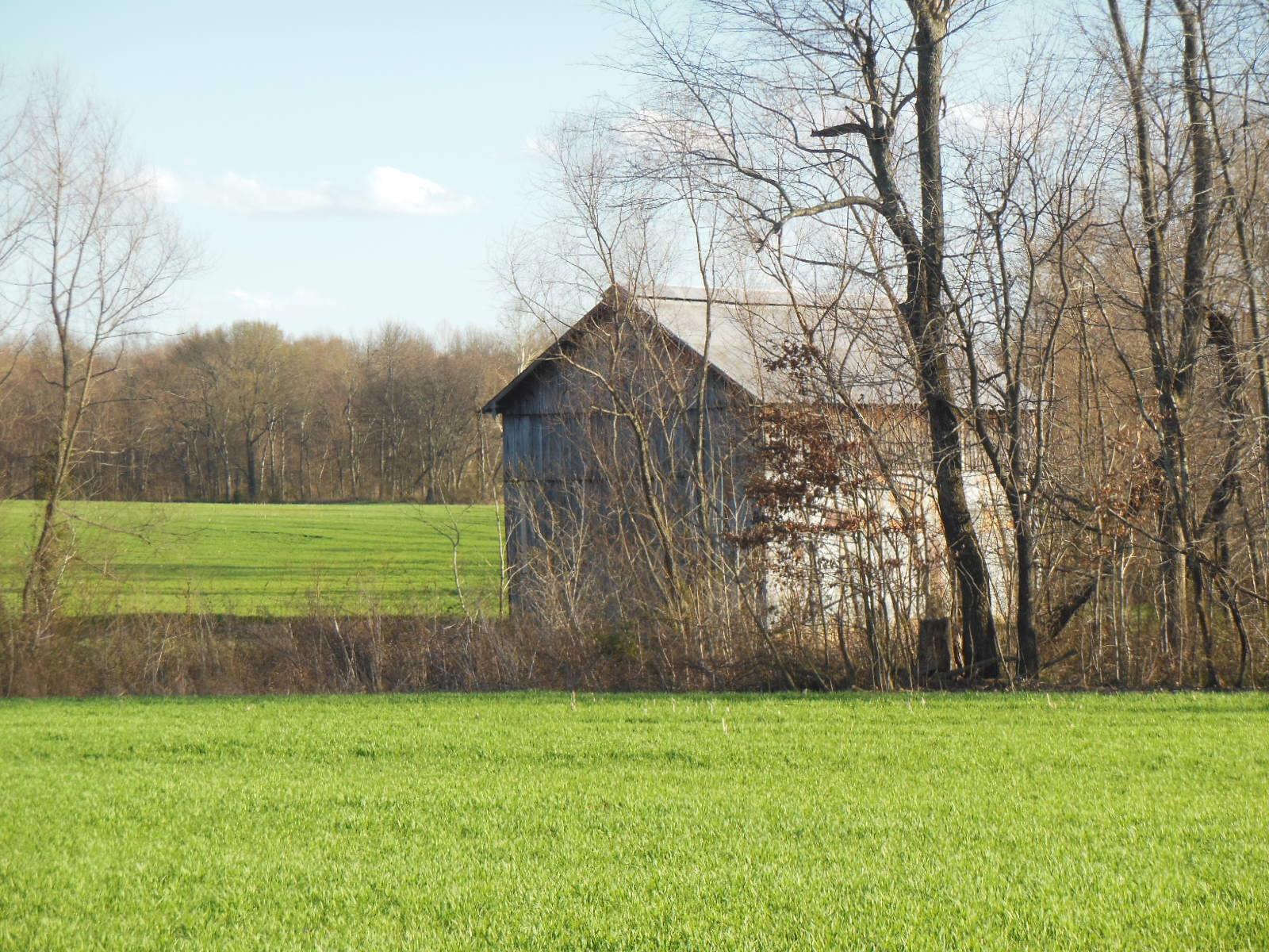 5025 Boyd Holland Road Springfield, TN 37172 - Photo 24 of 30 a view of a field of grass and trees