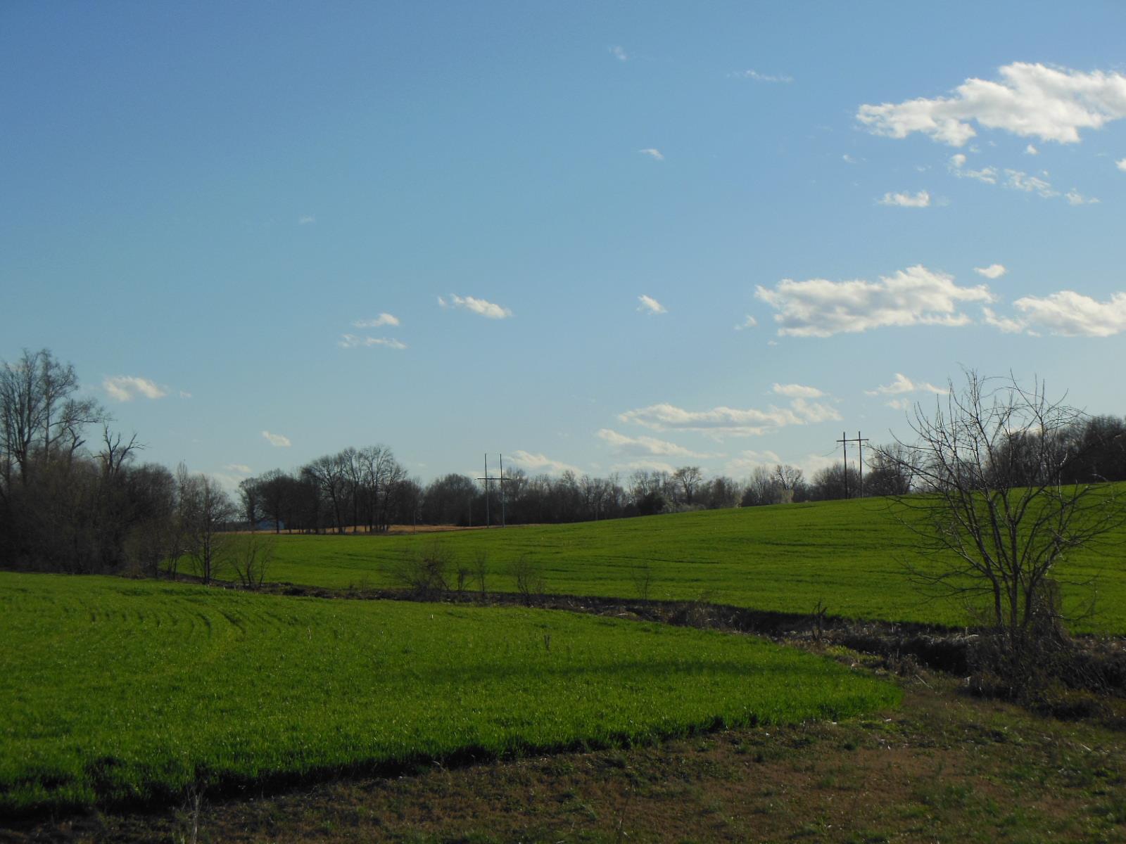 5025 Boyd Holland Road Springfield, TN 37172 - Photo 28 of 30 a view of a big yard