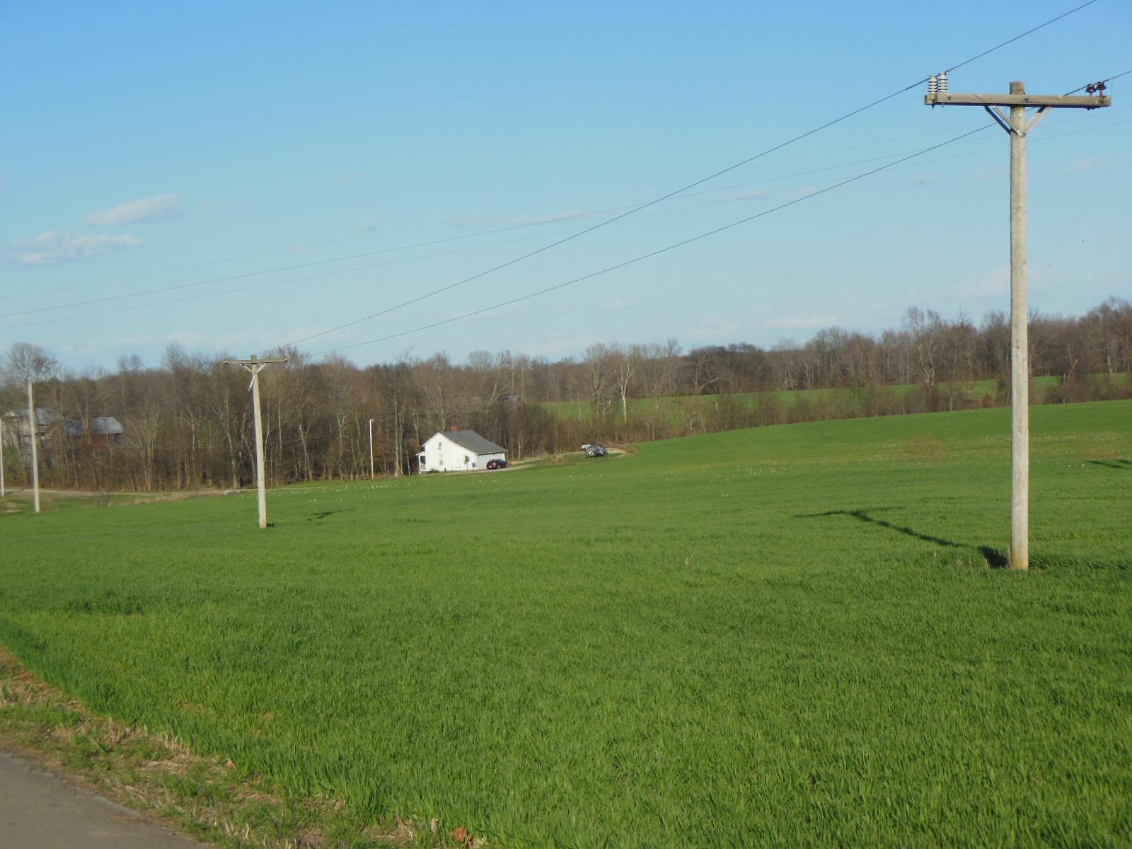5025 Boyd Holland Road Springfield, TN 37172 - Photo 30 of 30 a view of a green field