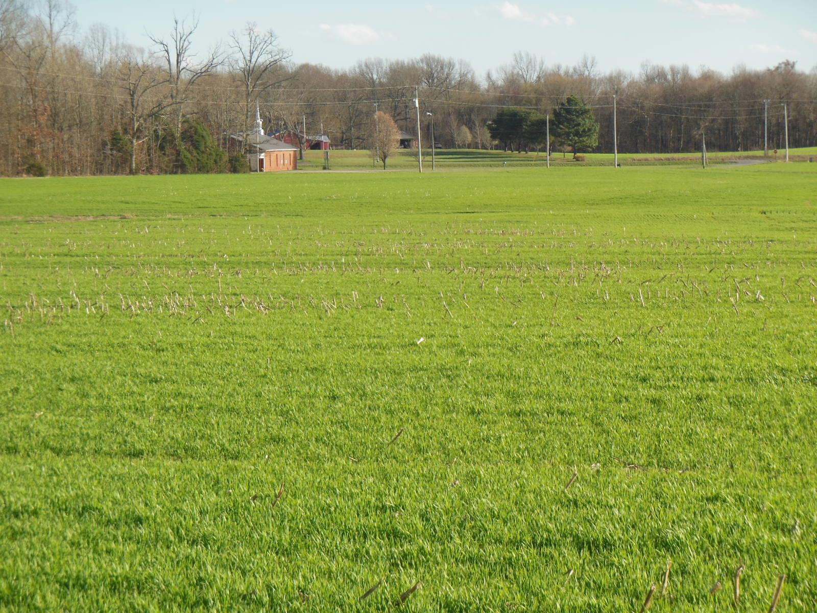5025 Boyd Holland Road Springfield, TN 37172 - Photo 8 of 30 a view of a green field with trees