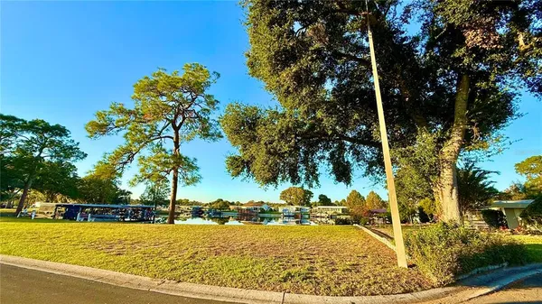 a view of a park with large trees