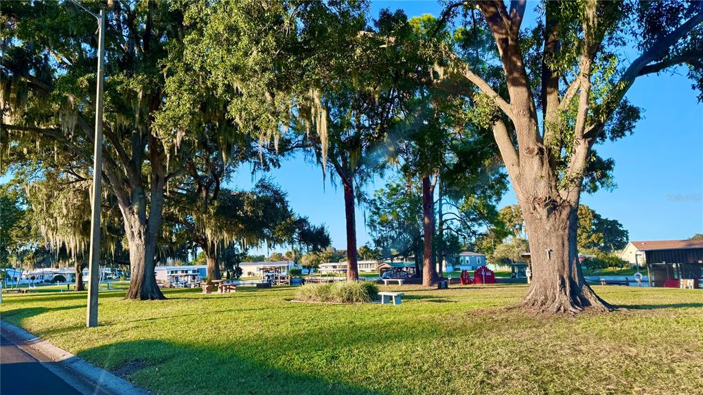 722 Landry Lane Tavares, FL 32778 - Photo 4 of 17 a view of a park with large trees