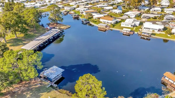 a view of a yard with an trees