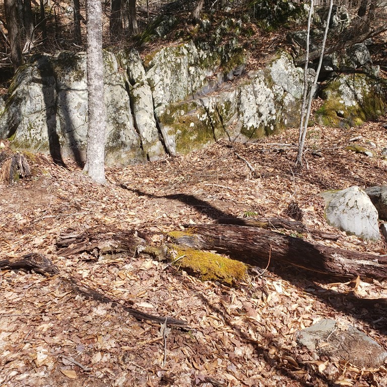 0 Fairgrounds Road Cummington, MA 01026 - Photo 7 of 12