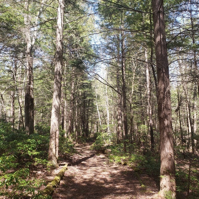 0 Fairgrounds Road Cummington, MA 01026 - Photo 8 of 12