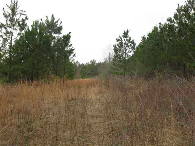 4705 Highway 101 Gray Court, SC 29645 - Photo 1 of 3 Gallery Image 1