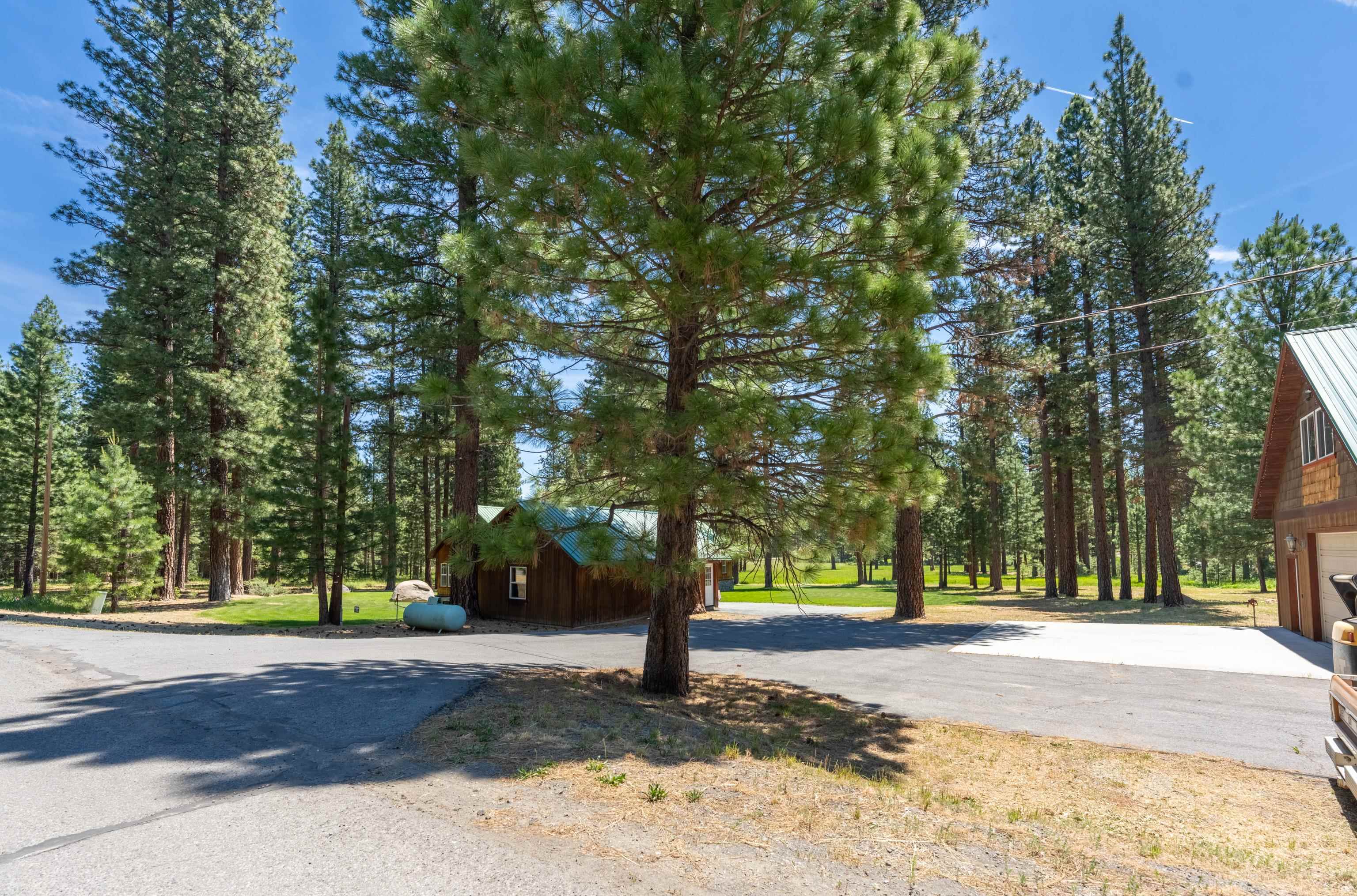 97 Main Street Calpine, CA 96124 - Photo 7 of 46