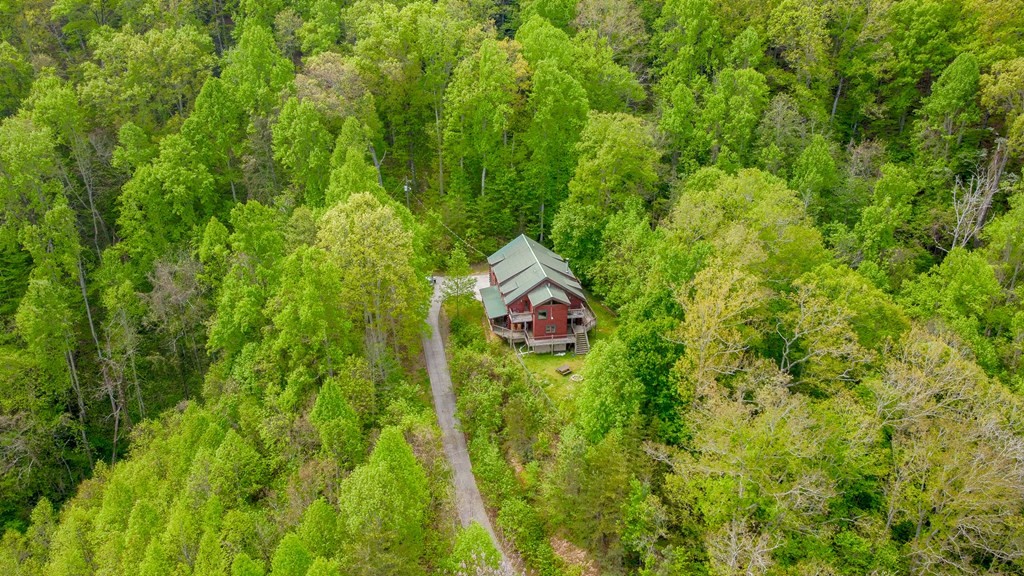 2548 Happy Hollow Road Sevierville, TN 37862 - Photo 58 of 60 Gallery Image 58