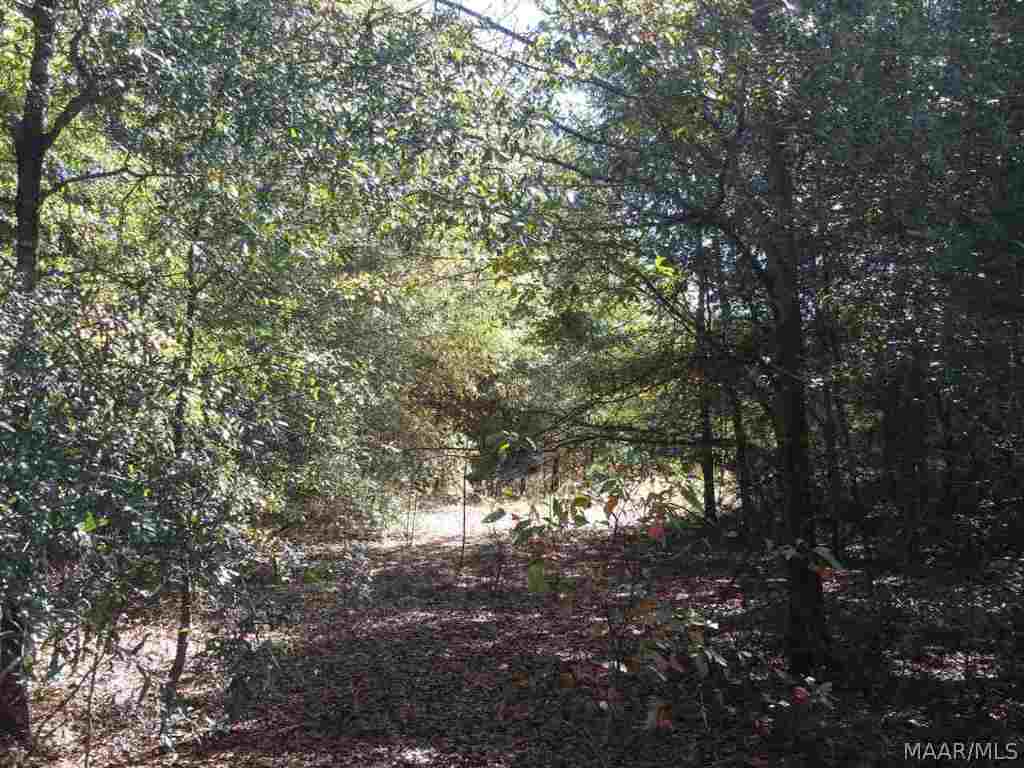 Dean Church Road Ozark, AL 36360 - Photo 8 of 10 Gallery Image 8