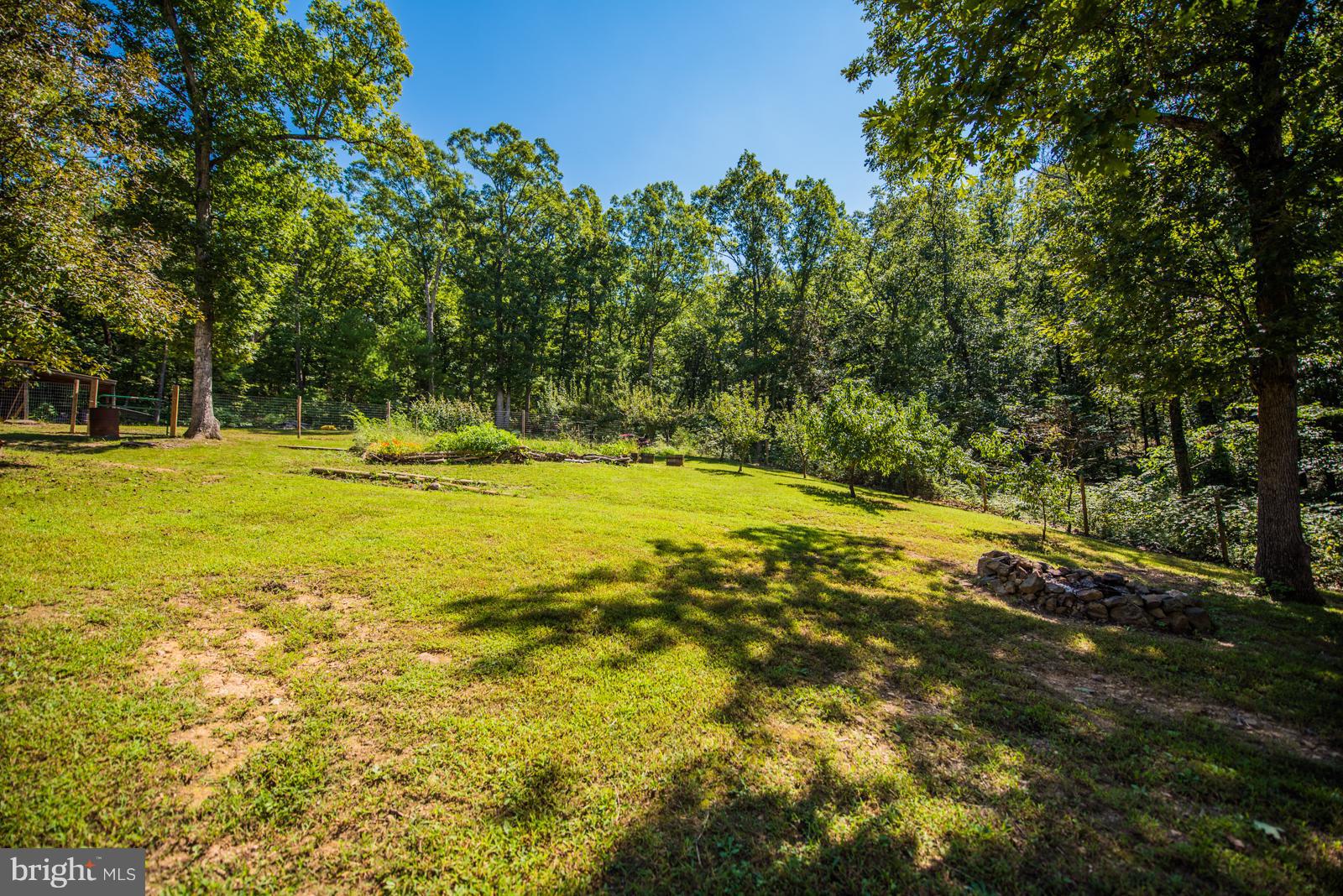 158 Catron Ridge Road Bentonville, VA 22610 - Photo 23 of 30 View from gardens