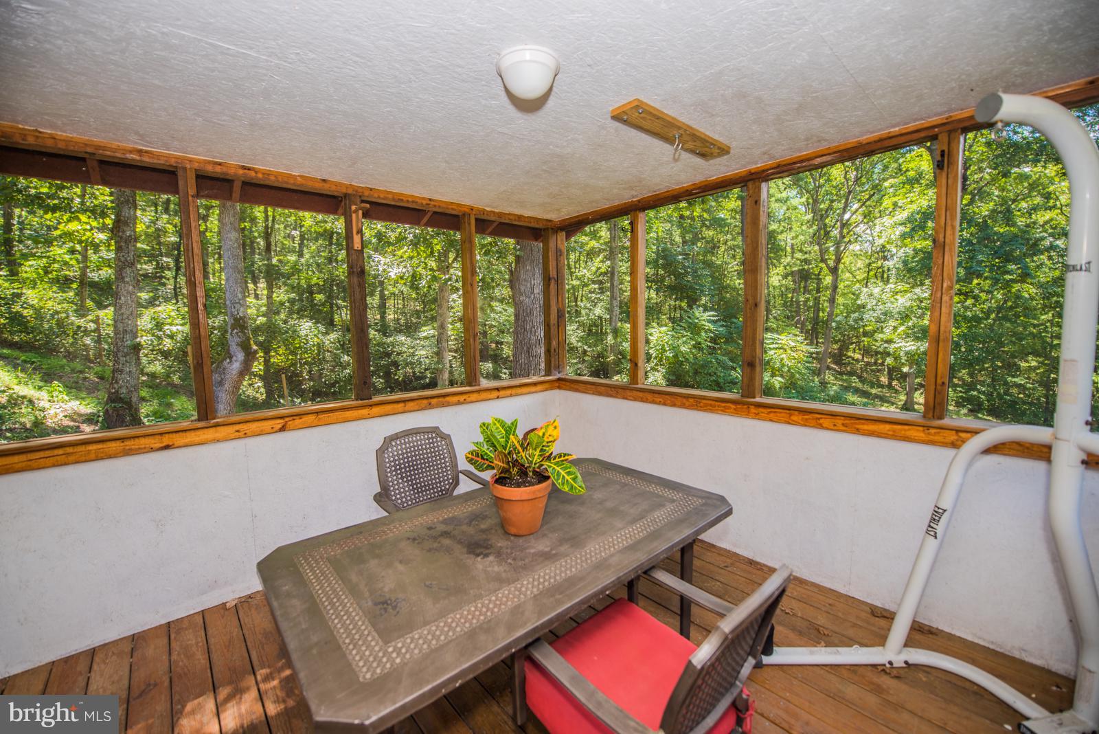 158 Catron Ridge Road Bentonville, VA 22610 - Photo 24 of 30 Screened in deck
