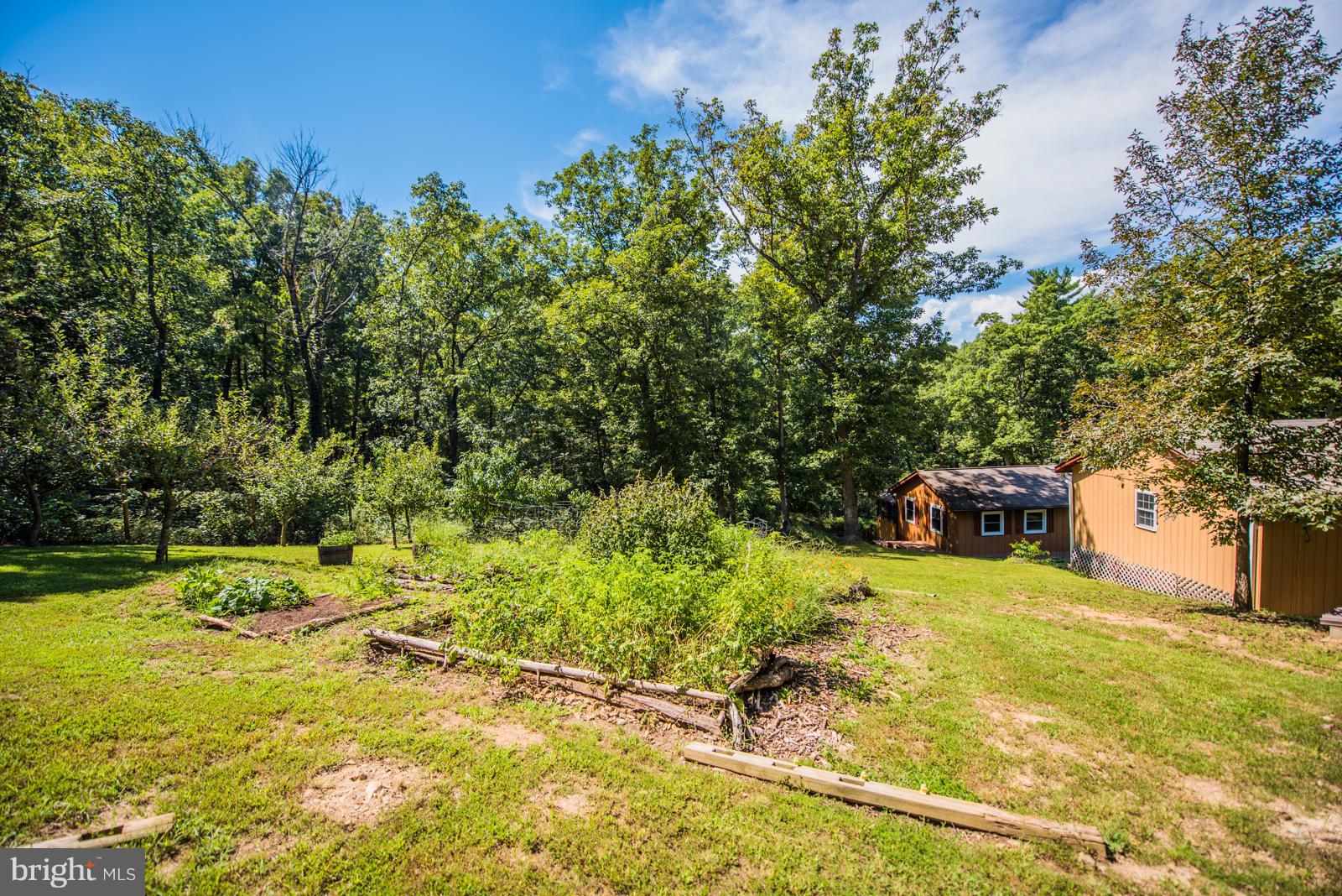 158 Catron Ridge Road Bentonville, VA 22610 - Photo 27 of 30 Raised Garden Beds