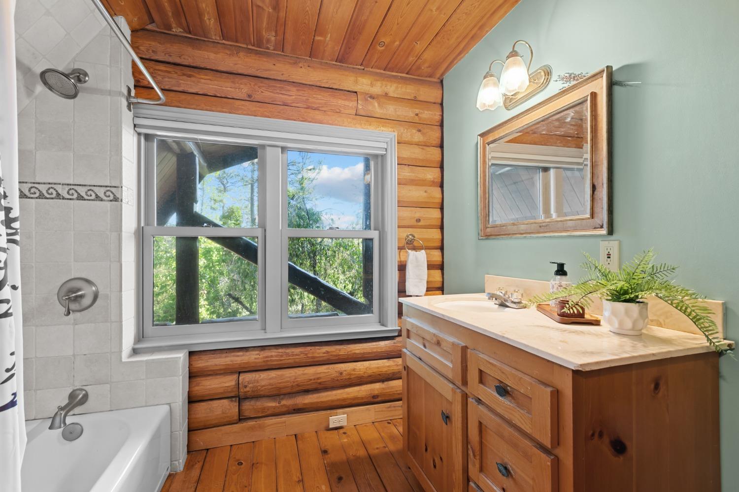15250 Mitchell Mine Road Pine Grove, CA 95665 - Photo 34 of 50 a bathroom with a sink vanity and a bathtub