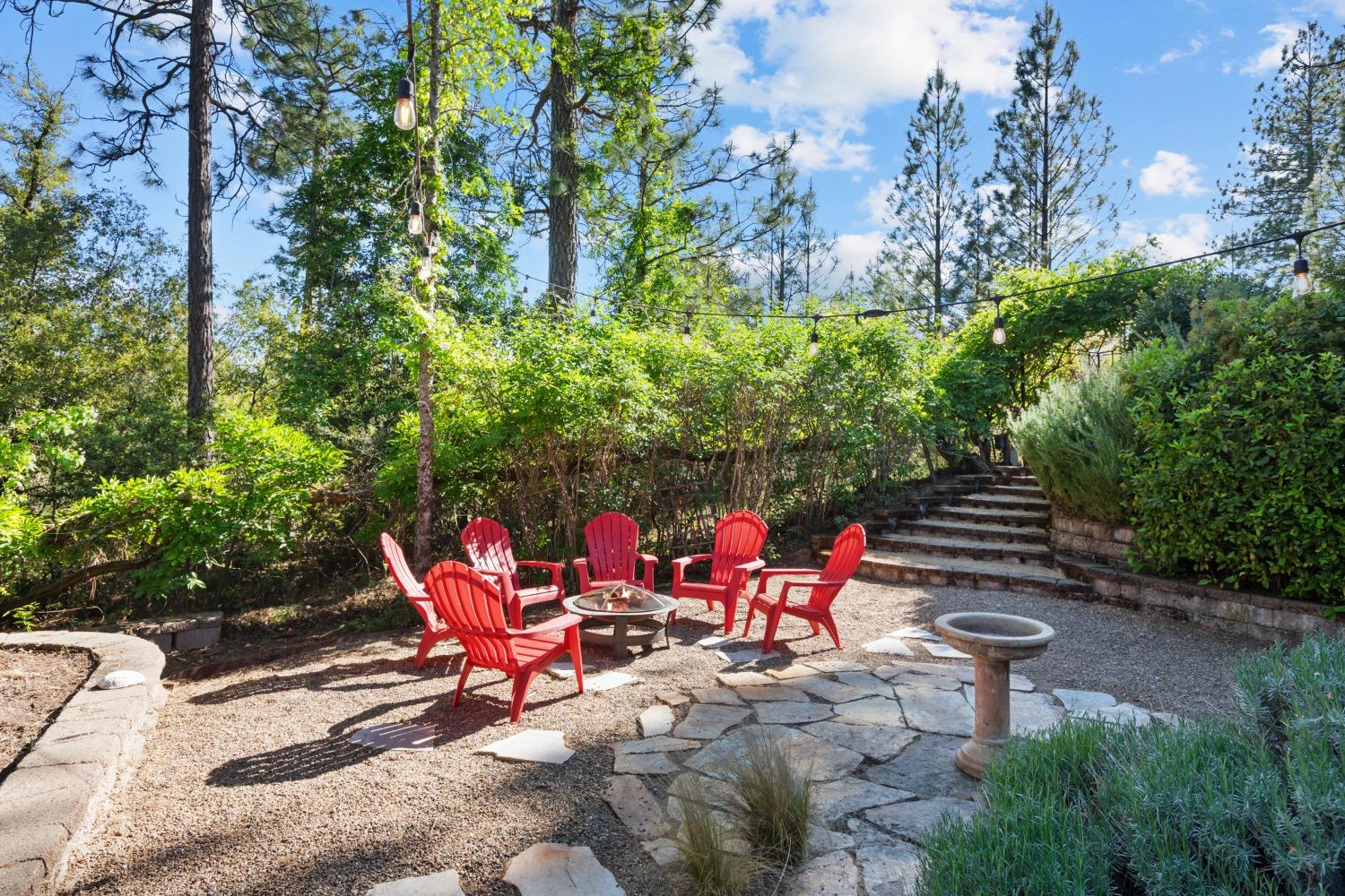15250 Mitchell Mine Road Pine Grove, CA 95665 - Photo 46 of 50 a bench is sitting in the middle of a park
