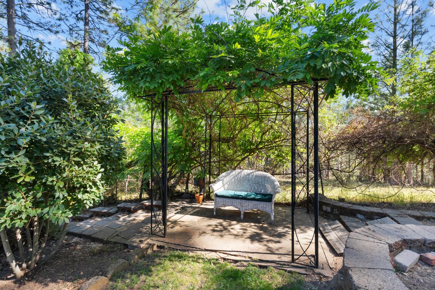 15250 Mitchell Mine Road Pine Grove, CA 95665 - Photo 48 of 50