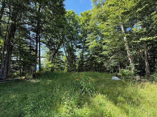 47 Tranquility Lane Perry, ME 04667 - Photo 41 of 82 IMG_0850 (1)