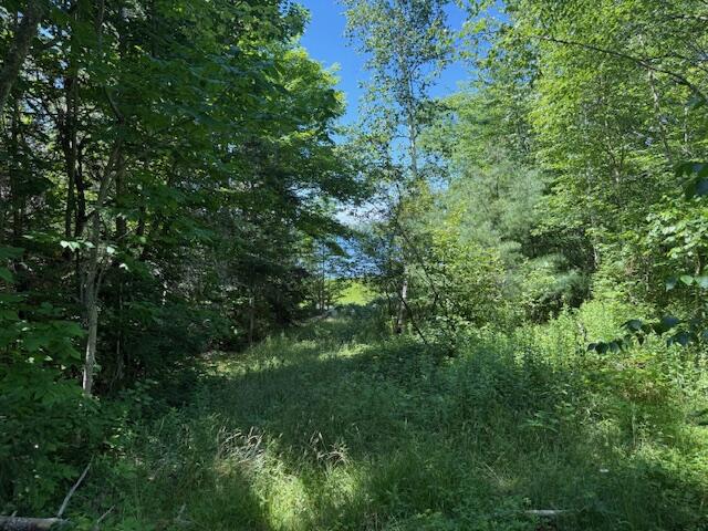 47 Tranquility Lane Perry, ME 04667 - Photo 49 of 82 IMG_0883 (1)