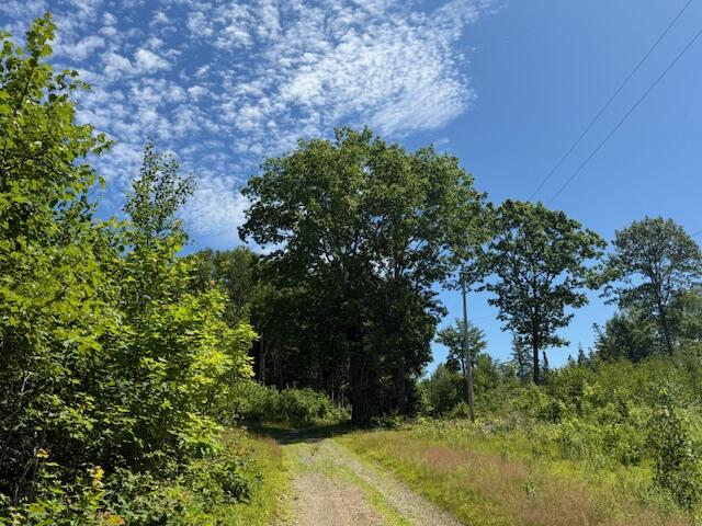 47 Tranquility Lane Perry, ME 04667 - Photo 54 of 82 IMG_0915