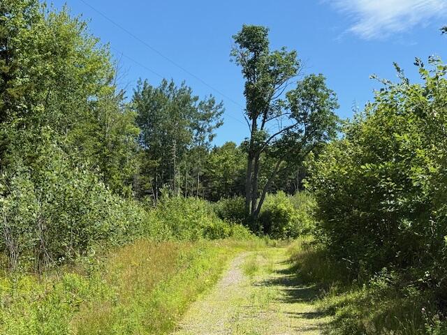 47 Tranquility Lane Perry, ME 04667 - Photo 55 of 82 IMG_0913