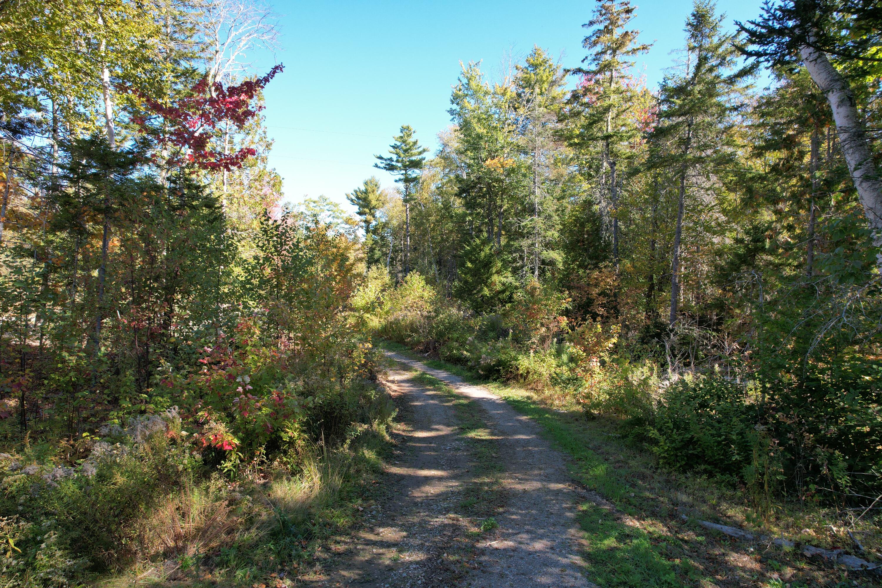 47 Tranquility Lane Perry, ME 04667 - Photo 64 of 82 DJI_0679
